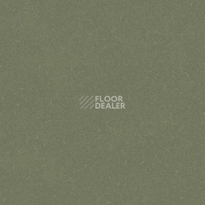 Линолеум Grabo Silver Knight Diamond Tech 864 фото 1 | FLOORDEALER