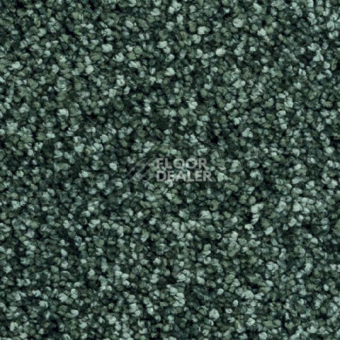 Ковролин Balsan Feelings 280 фото 1 | FLOORDEALER