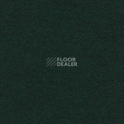 Ковролин Finett Feinwerk 603510 фото 1 | FLOORDEALER