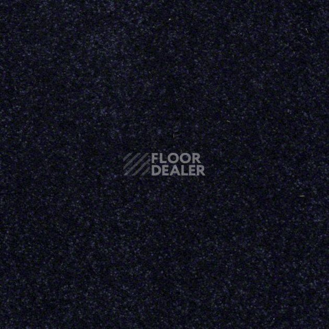 Ковролин Shaw Design Texture Platinum 404 фото 1 | FLOORDEALER