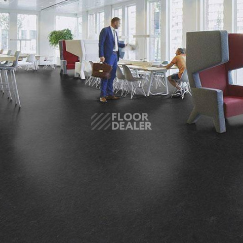 Forbo Marmoleum Solid Slate e3707-e370735 Highland black фото 3 | FLOORDEALER