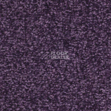 Ковролин Balsan Ultrasoft 870 фото 1 | FLOORDEALER