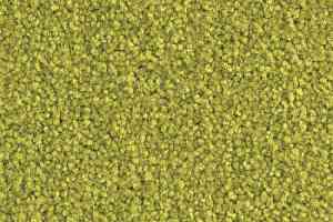 Ковровая плитка Balsan Bolero 230 фото  | FLOORDEALER