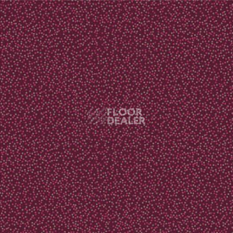 Ковролин Halbmond Classic Selection 42425 a 10 фото 1 | FLOORDEALER
