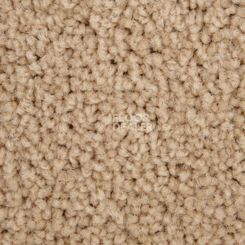 Haima Noble 41 фото 3 | FLOORDEALER