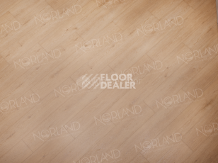Norland Sigrid Superior 8мм Eli 1008-6 ABA фото 3 | FLOORDEALER