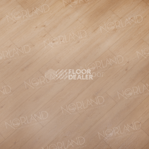 Norland Sigrid Superior 8мм Eli 1008-6 ABA фото 3 | FLOORDEALER