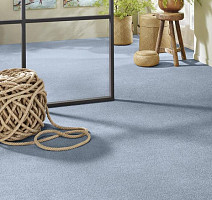 Vorwerk Superior 1065/Viola