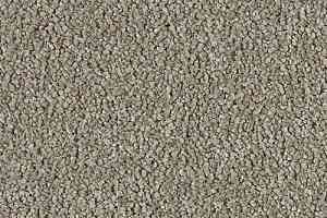 Ковролин Lano Soft Perfection 272 фото  | FLOORDEALER
