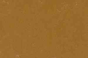 Линолеум Forbo Marmoleum Неожиданная природа 3564 фото  | FLOORDEALER