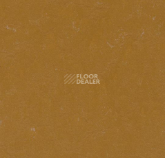 Линолеум Forbo Marmoleum Неожиданная природа 3564 фото 1 | FLOORDEALER