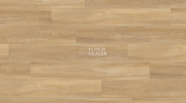 Кварцвиниловые полы Gerflor Creation 55 0851_Bostonian_Oak_Honey фото 1 | FLOORDEALER