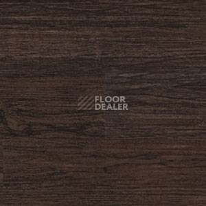 Линолеум Polyflor Expona Wood 6190 фото 1 | FLOORDEALER