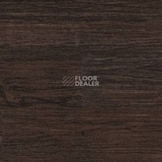 Линолеум Polyflor Expona Wood 6190 фото 1 | FLOORDEALER