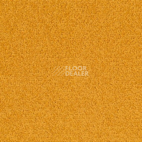 Ковровая плитка Desso Palatino 6016 фото 1 | FLOORDEALER