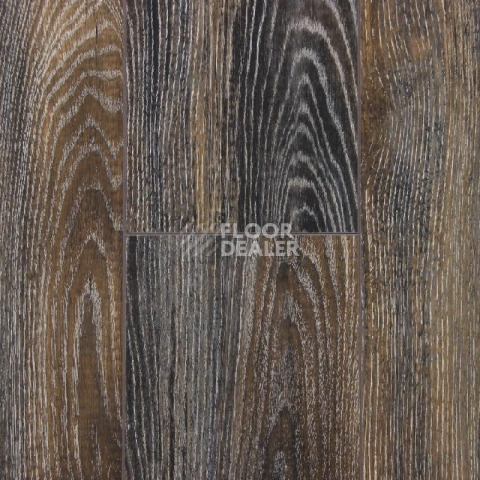 Ламинат Falquon Blue Line Wood 8mm D3686 Canyon Black Oak глянец фото 1 | FLOORDEALER