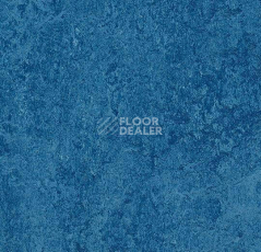 Кварцвиниловые полы Forbo Marmoleum Modular Colour 3030 фото 1 | FLOORDEALER