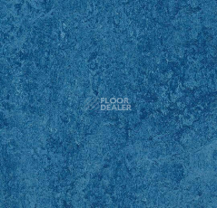 Кварцвиниловые полы Forbo Marmoleum Modular Colour 3030 фото 1 | FLOORDEALER