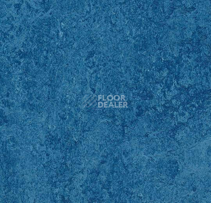 Кварцвиниловые полы Forbo Marmoleum Modular Colour 3030 фото 1 | FLOORDEALER