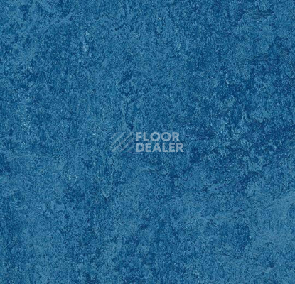 Кварцвиниловые полы Forbo Marmoleum Modular Colour 3030 фото 1 | FLOORDEALER