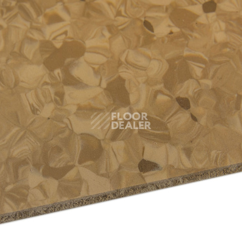 Tarkett Primo Plus 303 фото 4 | FLOORDEALER