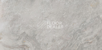 Керамогранит Mirage-Image 596 x 1200 Mirage-Image Silver 59,6x120 фото 1 | FLOORDEALER