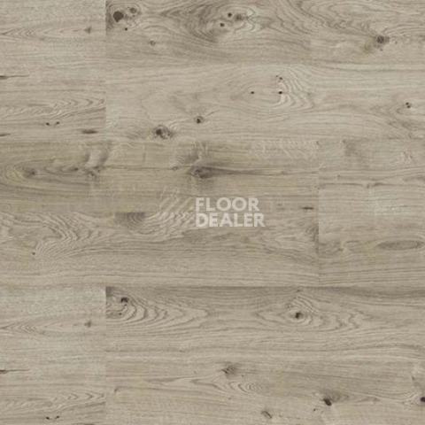 Wood OAK GREY фото 4 | FLOORDEALER