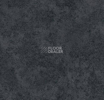 Ковролин Forbo Flotex Colour s 290010 Calgary Ash фото 1 | FLOORDEALER
