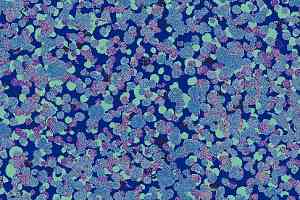Ковровая плитка Halbmond Tiles & More 4 tm 4-047-03 фото  | FLOORDEALER