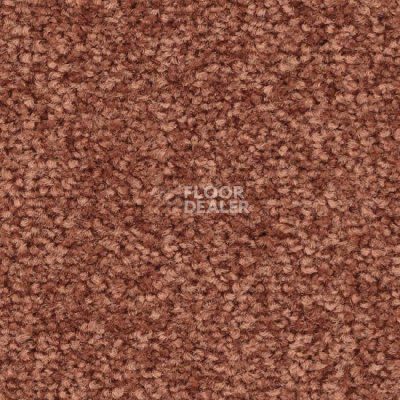 Ковролин Balsan First Class 460 фото 1 | FLOORDEALER