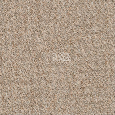 Ковровая плитка Shaw Momentum 02505 фото 1 | FLOORDEALER