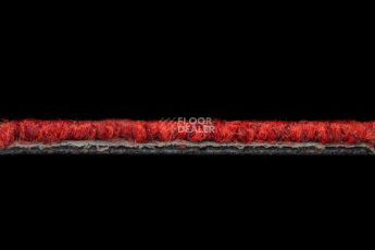 Balsan Season - Summer / Winter 570 фото 3 | FLOORDEALER