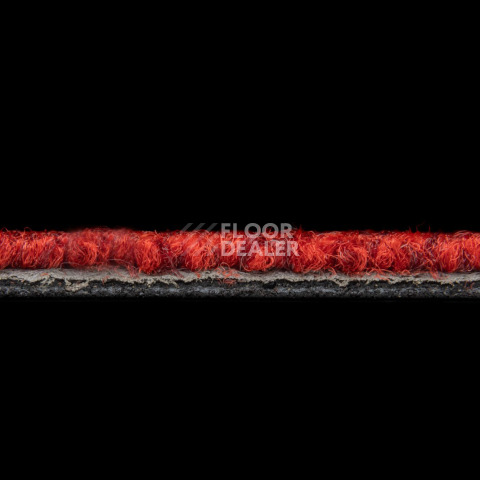 Balsan Season - Summer / Winter 570 фото 3 | FLOORDEALER