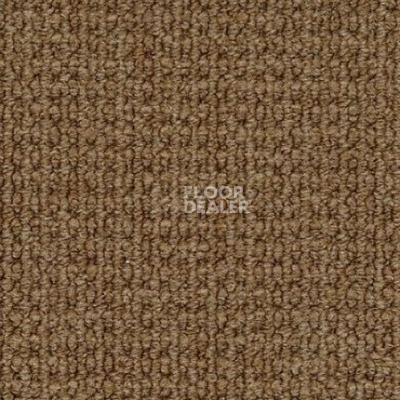 Ковролин Desso Conga 2924 фото 1 | FLOORDEALER