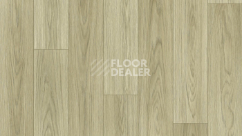 Линолеум Tarkett Force Norman 1 фото 1 | FLOORDEALER