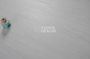 Evofloor Optima Click 4.2мм Дуб Арктический фото 5 | FLOORDEALER
