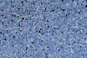 Линолеум DLV Flooring Standard Conductive 805 Sea фото  | FLOORDEALER