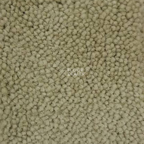 Ковролин Condor Carpets Marriott 176 фото 1 | FLOORDEALER