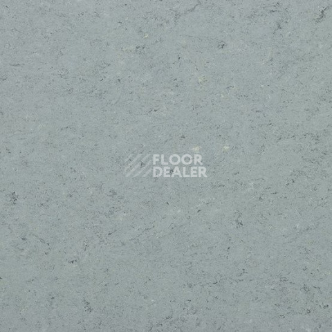 Линолеум Gerflor Marmorette DLW  2mm 0055 Ash Grey фото 1 | FLOORDEALER