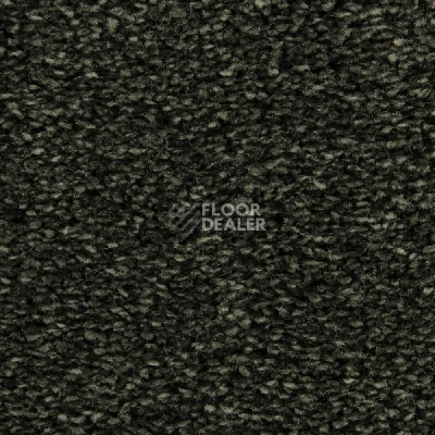 Ковролин Edel Wild Romance 284 фото 1 | FLOORDEALER