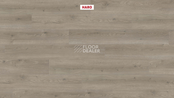 Ламинат Haro Tritty 100 4V Дуб Флавия Серый 544702 фото 2 | FLOORDEALER