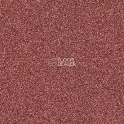 Линолеум Tarkett iq Monolit Monolit_918 фото 1 | FLOORDEALER