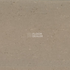 Линолеум Gerflor Colorette 0043 Light Mud фото 1 | FLOORDEALER
