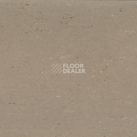 Линолеум Gerflor Colorette 0043 Light Mud фото 1 | FLOORDEALER