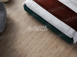 Norland Sigrid Superior 8мм Dor 1008-3 ABA фото 2 | FLOORDEALER