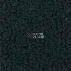 Ковролин Infloor Color 53 590 фото 1 | FLOORDEALER