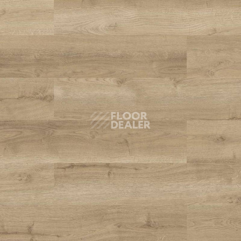 Пробковое покрытие Wood Go LJUZ001  Oak Nature фото 1 | FLOORDEALER
