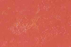 Линолеум Arabesque 0303 Verona фото  | FLOORDEALER