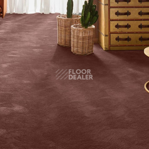 Vorwerk Exclusive 1060 Safira 7g64 фото 2 | FLOORDEALER