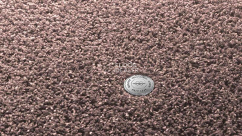Ковролин Vorwerk Superior 1041 Vorwerk 1n29 фото 1 | FLOORDEALER